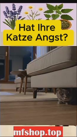 Beruhigungsspray für Haustiere – Die natürliche Lösung gegen Stress bei Hunden und Katzen