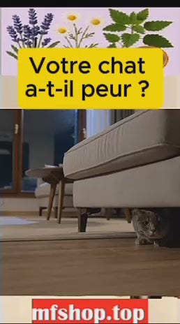 Spray Apaisant pour Chats | Anti-Stress